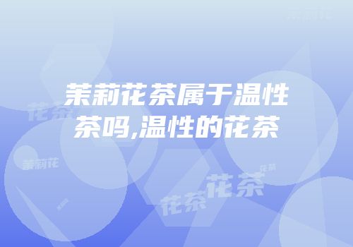 茉莉花茶属于温性茶吗,温性的花茶