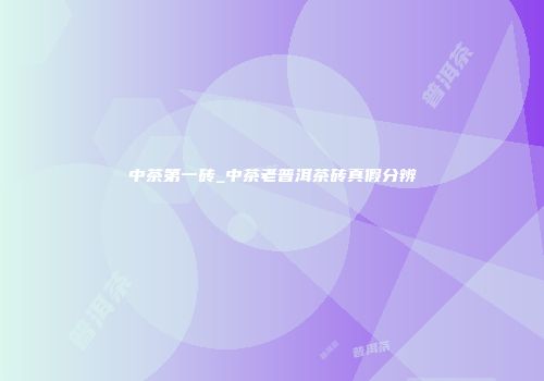中茶第一砖_中茶老普洱茶砖真假分辨