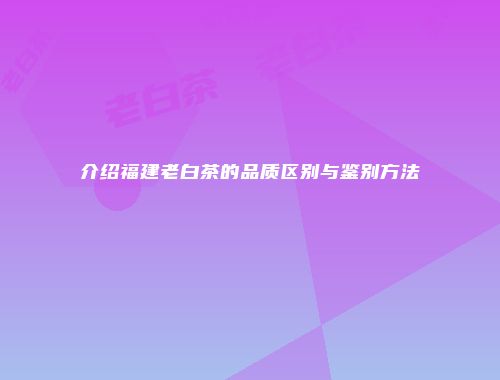 介绍福建老白茶的品质区别与鉴别方法