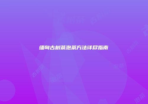 缅甸古树茶泡茶方法详尽指南