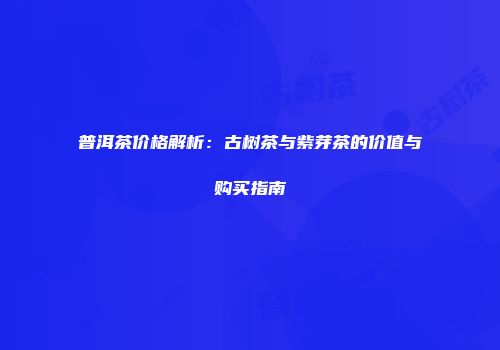 普洱茶价格解析：古树茶与紫芽茶的价值与购买指南