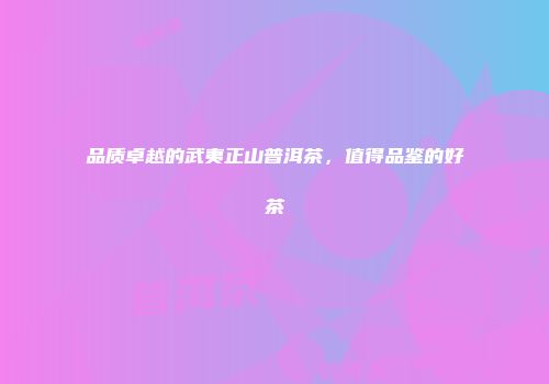 品质卓越的武夷正山普洱茶，值得品鉴的好茶