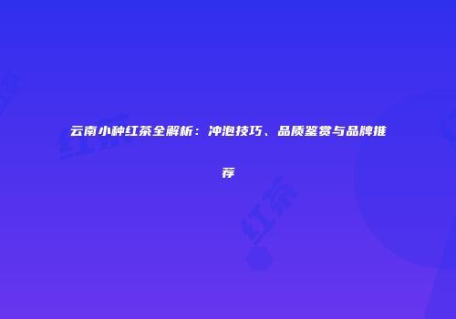 云南小种红茶全解析：冲泡技巧、品质鉴赏与品牌推荐