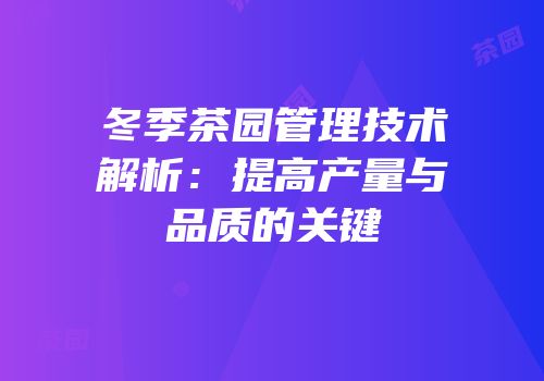 冬季茶园管理技术解析：提高产量与品质的关键