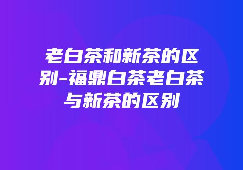 老白茶和新茶的区别-福鼎白茶老白茶与新茶的区别