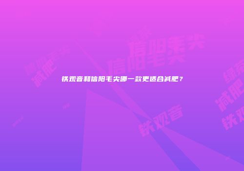 铁观音和信阳毛尖哪一款更适合减肥？