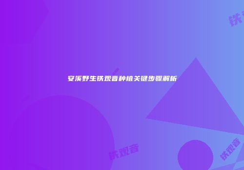 安溪野生铁观音种植关键步骤解析