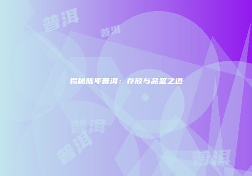 揭秘陈年普洱：存放与品鉴之道