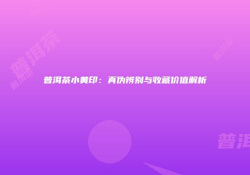 普洱茶小黄印：真伪辨别与收藏价值解析
