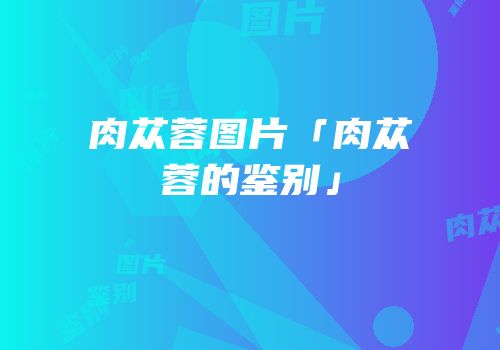 肉苁蓉图片「肉苁蓉的鉴别」