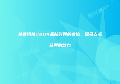 茶普洱茶2004品味时间的痕迹，探寻古老普洱的魅力