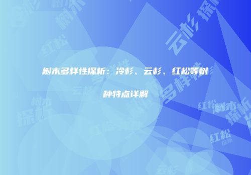 树木多样性探析：冷杉、云杉、红松等树种特点详解