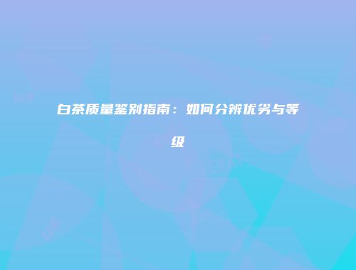 白茶质量鉴别指南：如何分辨优劣与等级