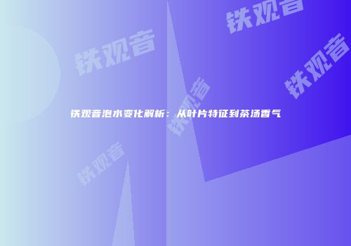 铁观音泡水变化解析：从叶片特征到茶汤香气