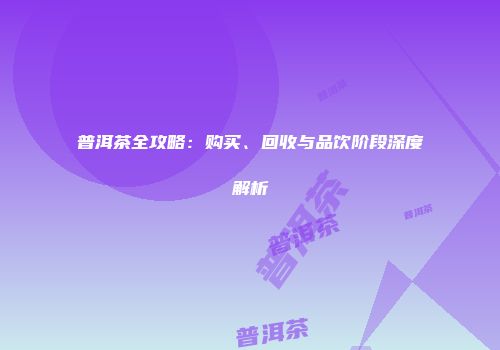普洱茶全攻略：购买、回收与品饮阶段深度解析