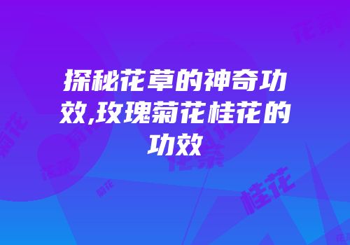 探秘花草的神奇功效,玫瑰菊花桂花的功效