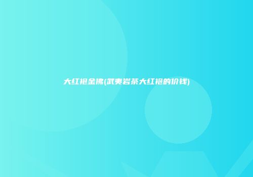 大红袍金佛(武夷岩茶大红袍的价钱)