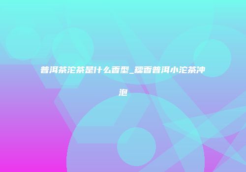 普洱茶沱茶是什么香型_糯香普洱小沱茶冲泡