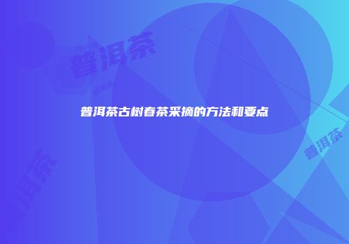 普洱茶古树春茶采摘的方法和要点