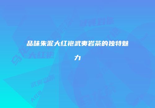 品味朱泥大红袍武夷岩茶的独特魅力