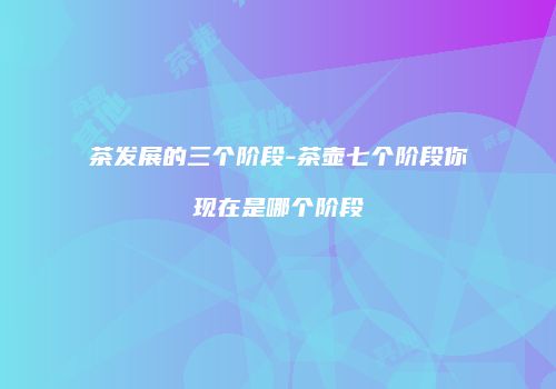 茶发展的三个阶段-茶壶七个阶段你现在是哪个阶段