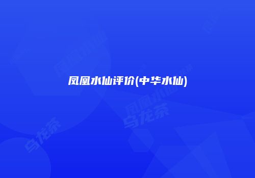 凤凰水仙评价(中华水仙)