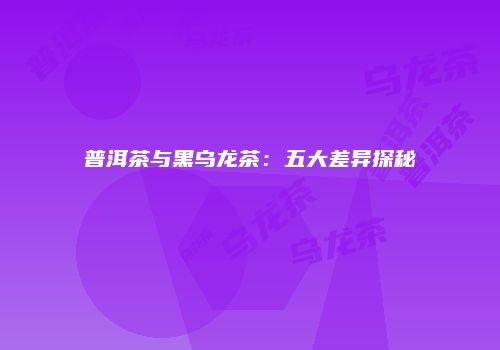 普洱茶与黑乌龙茶：五大差异探秘