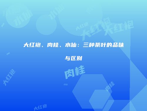 大红袍、肉桂、水仙：三种茶叶的品味与区别