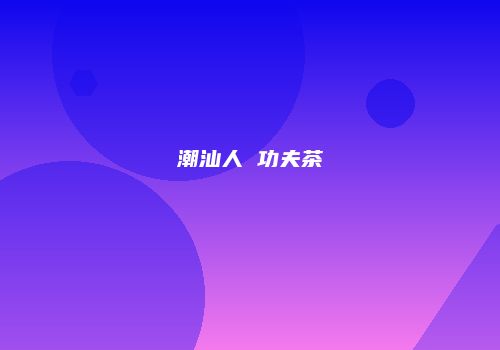 潮汕人 功夫茶