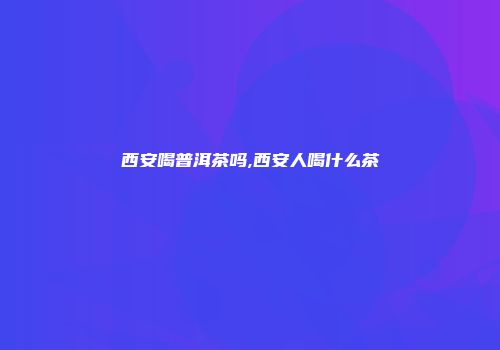 西安喝普洱茶吗,西安人喝什么茶