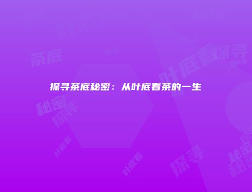 探寻茶底秘密：从叶底看茶的一生
