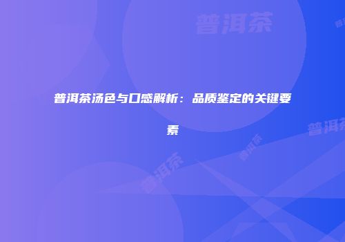 普洱茶汤色与口感解析：品质鉴定的关键要素