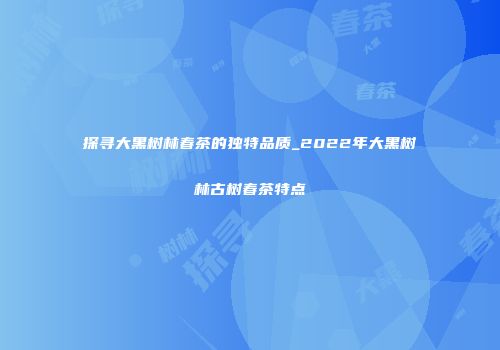 探寻大黑树林春茶的独特品质_2022年大黑树林古树春茶特点