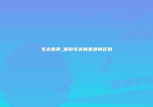 毛尖雪芽_信阳毛尖和雪芽的区别