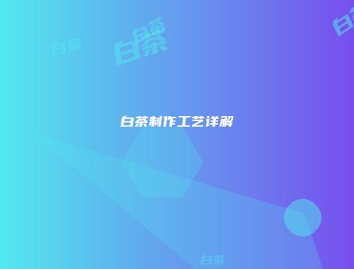 白茶制作工艺详解