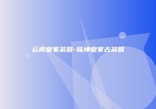 云南皇家茶园-陆坤皇家古茶园