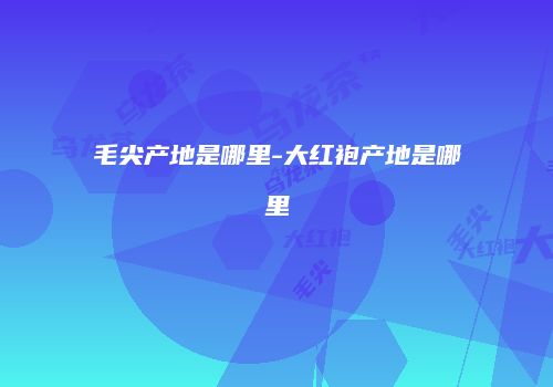 毛尖产地是哪里-大红袍产地是哪里
