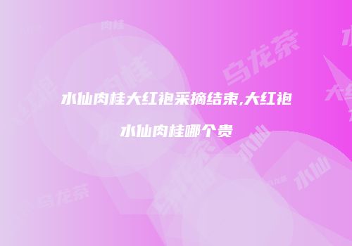 水仙肉桂大红袍采摘结束,大红袍水仙肉桂哪个贵