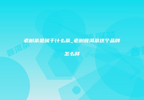 老树茶是属于什么茶_老树普洱茶这个品牌怎么样