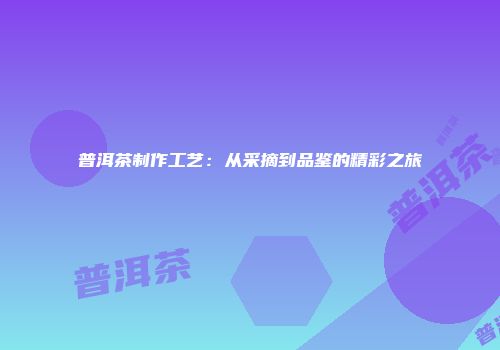 普洱茶制作工艺：从采摘到品鉴的精彩之旅