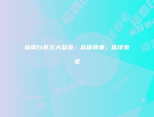 福鼎白茶五大益处：品味健康，延缓衰老