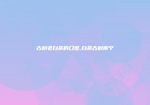 古树老白茶的口感,白茶古树南宁