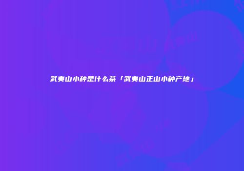 武夷山小种是什么茶「武夷山正山小种产地」