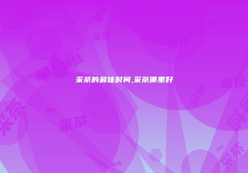 采茶的最佳时间,采茶哪里好