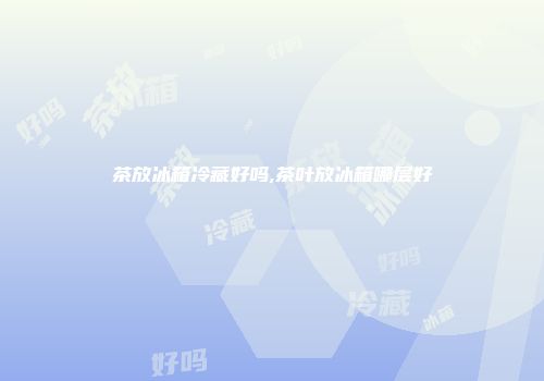 茶放冰箱冷藏好吗,茶叶放冰箱哪层好