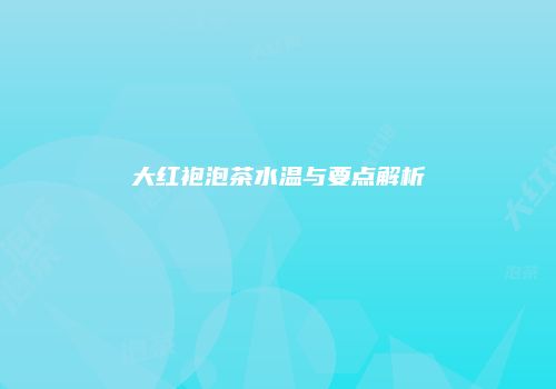 大红袍泡茶水温与要点解析
