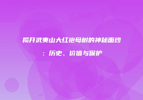 揭开武夷山大红袍母树的神秘面纱：历史、价值与保护