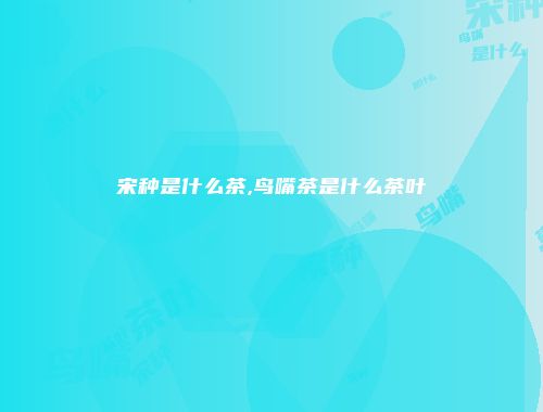 宋种是什么茶,鸟嘴茶是什么茶叶