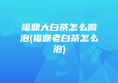 福鼎大白茶怎么喝泡(福鼎老白茶怎么泡)