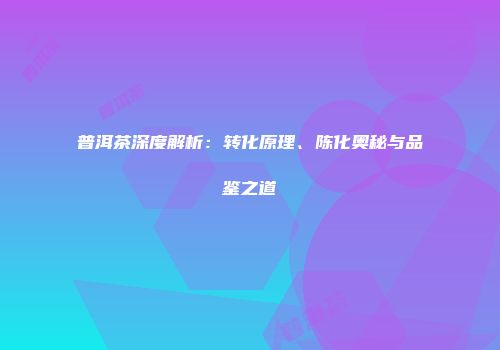 普洱茶深度解析：转化原理、陈化奥秘与品鉴之道